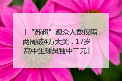 “苏超”观众人数仅隔两周破4万大关，17岁高中生球员独中二元