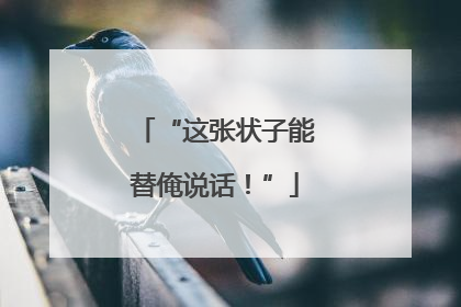 “这张状子能替俺说话！”