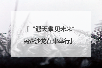“遇天津·见未来”民企沙龙在津举行