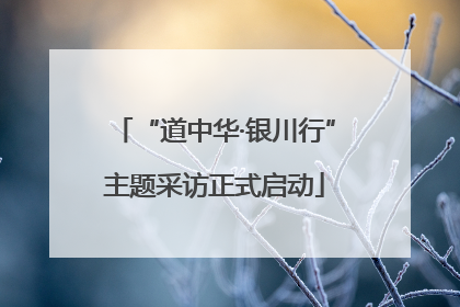 “道中华·银川行”主题采访正式启动