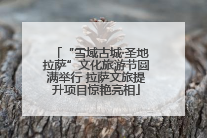 “雪域古城·圣地拉萨”文化旅游节圆满举行 拉萨文旅提升项目惊艳亮相