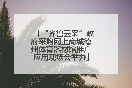 “齐鲁云采”政府采购网上商城德州体育器材馆推广应用现场会举办