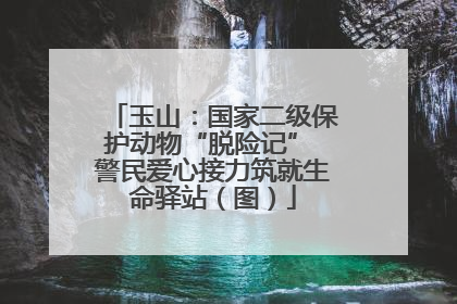 玉山：国家二级保护动物“脱险记” 警民爱心接力筑就生命驿站（图）