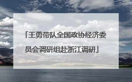 王勇带队全国政协经济委员会调研组赴浙江调研