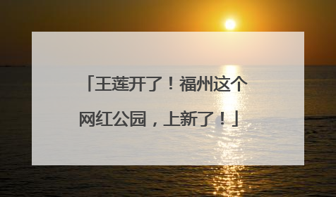 王莲开了！福州这个网红公园，上新了！