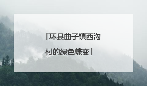 环县曲子镇西沟村的绿色蝶变