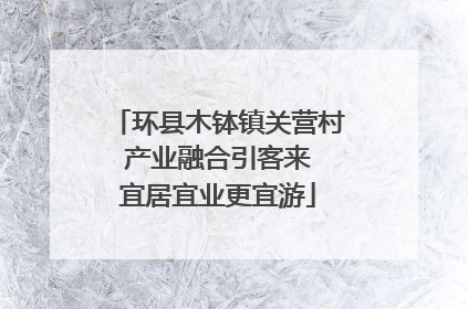 环县木钵镇关营村 产业融合引客来 宜居宜业更宜游