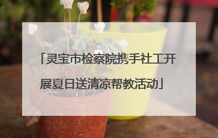 灵宝市检察院携手社工开展夏日送清凉帮教活动