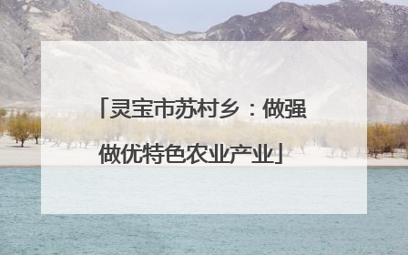 灵宝市苏村乡：做强做优特色农业产业