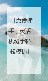 点赞挥手，灵活机械手轻松模仿