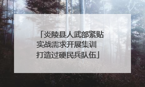 炎陵县人武部紧贴实战需求开展集训 打造过硬民兵队伍