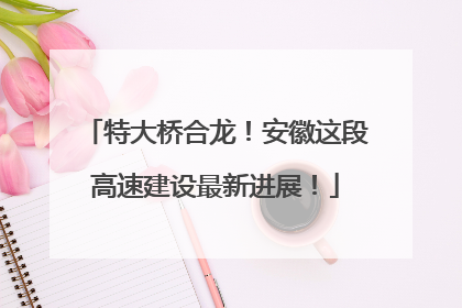 特大桥合龙！安徽这段高速建设最新进展！