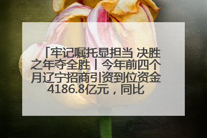 牢记嘱托显担当 决胜之年夺全胜丨今年前四个月辽宁招商引资到位资金4186.8亿元，同比增长17.4%