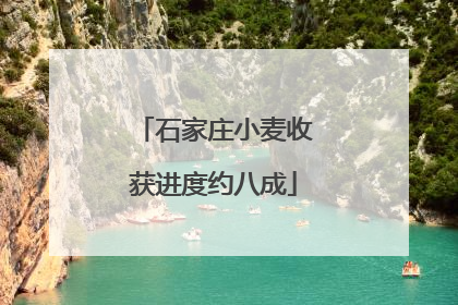石家庄小麦收获进度约八成