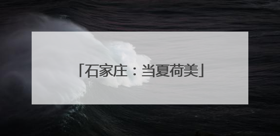 石家庄：当夏荷美
