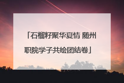 石榴籽聚华夏情 随州职院学子共绘团结卷
