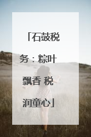 石鼓税务：粽叶飘香 税润童心
