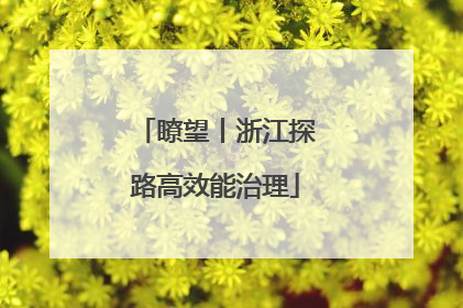 瞭望丨浙江探路高效能治理