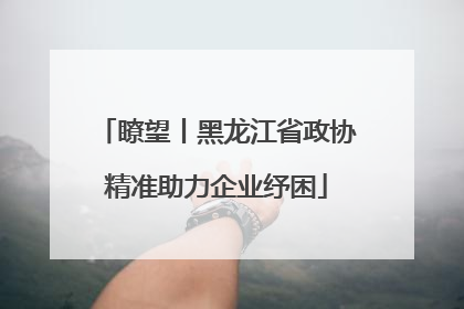 瞭望丨黑龙江省政协精准助力企业纾困