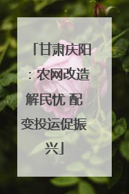 甘肃庆阳：农网改造解民忧 配变投运促振兴