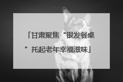 甘肃聚焦“银发餐桌”托起老年幸福滋味
