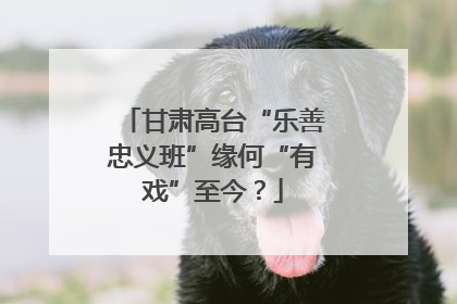 甘肃高台“乐善忠义班”缘何“有戏”至今？
