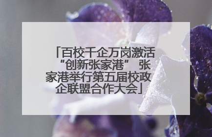 百校千企万岗激活“创新张家港” 张家港举行第五届校政企联盟合作大会