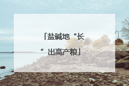 盐碱地“长”出高产粮
