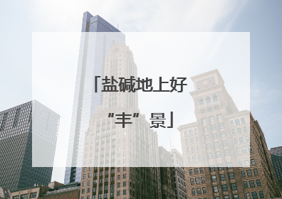 盐碱地上好“丰”景