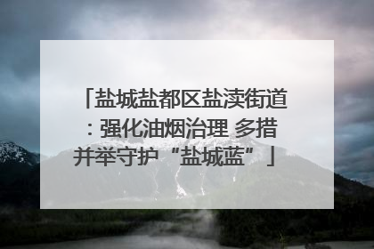 盐城盐都区盐渎街道：强化油烟治理 多措并举守护“盐城蓝”