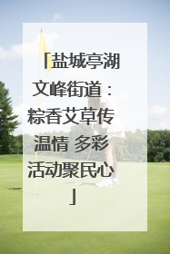 盐城亭湖文峰街道：粽香艾草传温情 多彩活动聚民心