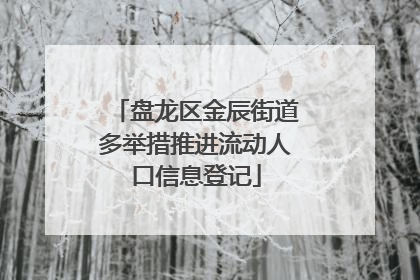 盘龙区金辰街道多举措推进流动人口信息登记