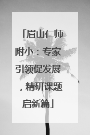 眉山仁师附小：专家引领促发展，精研课题启新篇