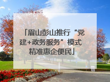 眉山彭山推行“党建+政务服务”模式 精准惠企便民