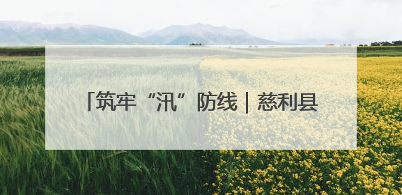 筑牢“汛”防线｜慈利县罗塔坪乡：以“迅”应“汛” 打赢暴雨防御战