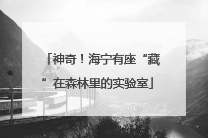 神奇！海宁有座“藏”在森林里的实验室