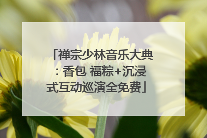 禅宗少林音乐大典：香包 福粽+沉浸式互动巡演全免费