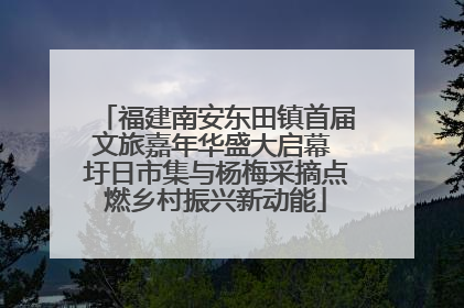 福建南安东田镇首届文旅嘉年华盛大启幕 圩日市集与杨梅采摘点燃乡村振兴新动能