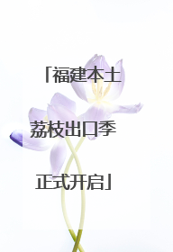福建本土荔枝出口季正式开启