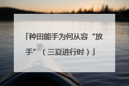 种田能手为何从容“放手”（三夏进行时）