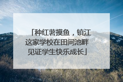 种红薯摸鱼，镇江这家学校在田间池畔见证学生快乐成长