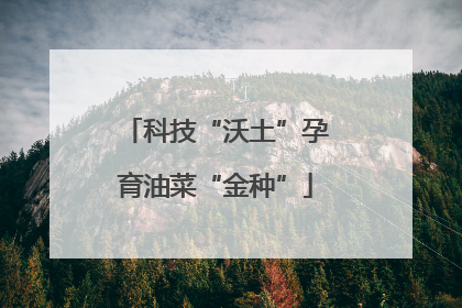 科技“沃土”孕育油菜“金种”