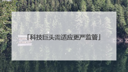 科技巨头需适应更严监管