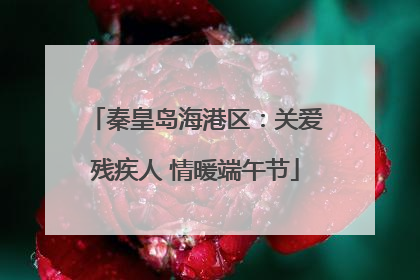 秦皇岛海港区：关爱残疾人 情暖端午节