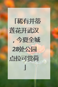 稀有并蒂莲花开武汉，今夏全城28处公园点位可赏荷