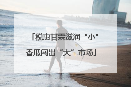 税惠甘霖滋润“小”香瓜闯出“大”市场