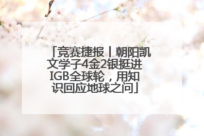 竞赛捷报丨朝阳凯文学子4金2银挺进IGB全球轮，用知识回应地球之问