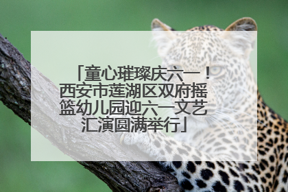 童心璀璨庆六一！西安市莲湖区双府摇篮幼儿园迎六一文艺汇演圆满举行