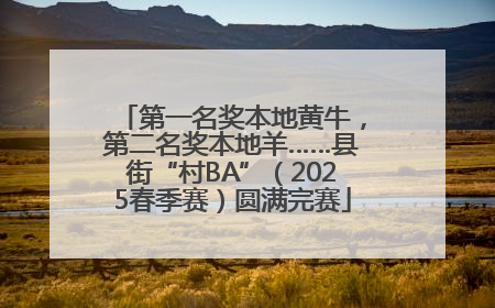 第一名奖本地黄牛，第二名奖本地羊……县街“村BA”（2025春季赛）圆满完赛