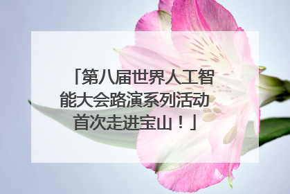 第八届世界人工智能大会路演系列活动首次走进宝山！